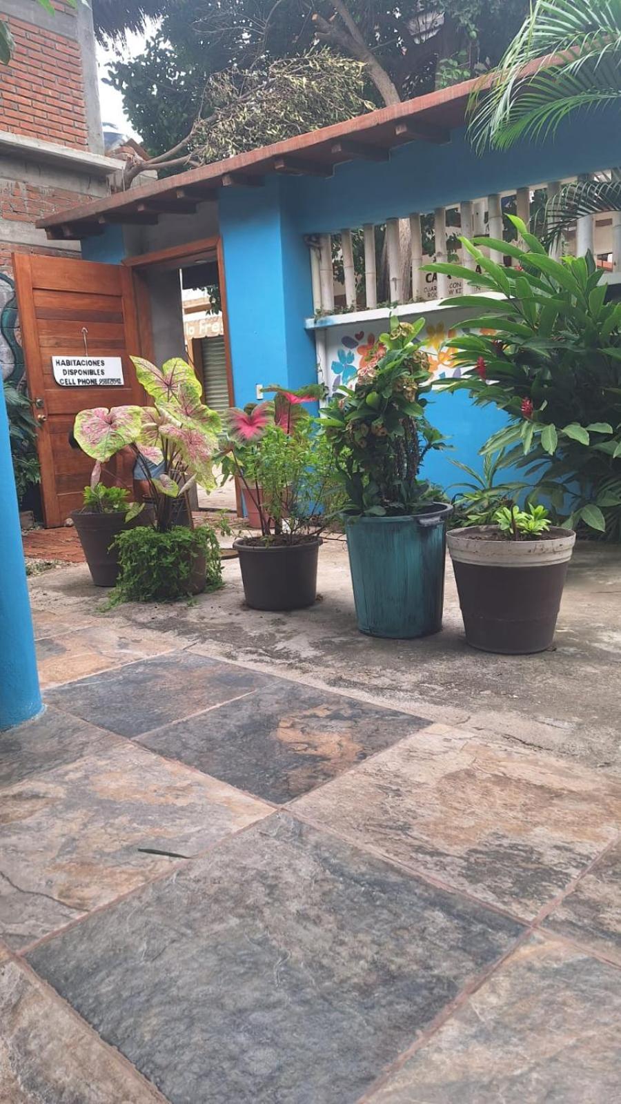 La Casa Del Sueno Hotel Mazunte Exterior photo